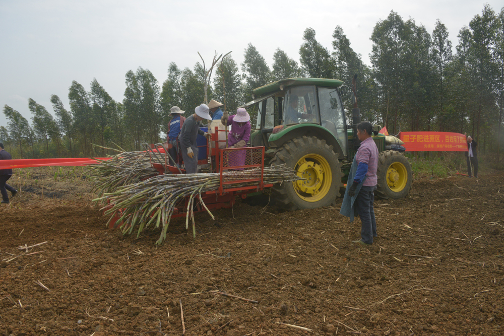 1490258721571591.jpg 1490258721571591.jpg