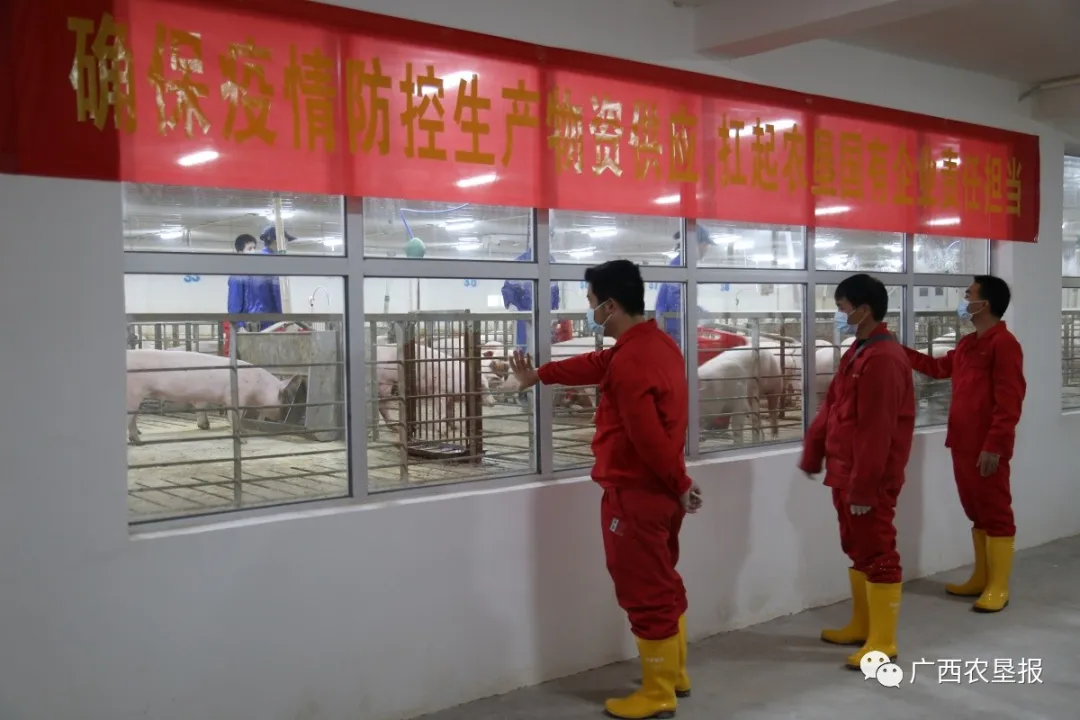 1583206971637472.jpg 1583204729(1).jpg