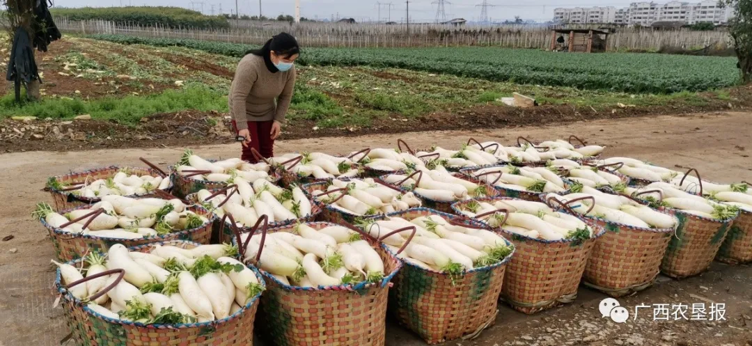 1583206979104154.jpg 1583204737(1).jpg