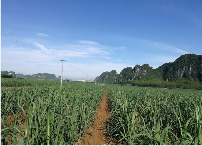 1596452263657095.png image.png