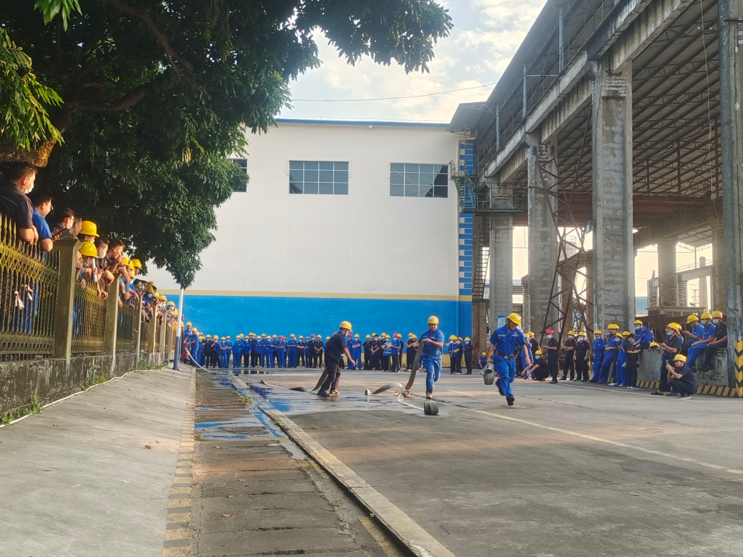 11��8����10�������Ǿ����ǹ�˾�M���T���_(k��i)չ�����ܵ�ƴ�ӱ�ِ�����R�� ���G�ݣ�